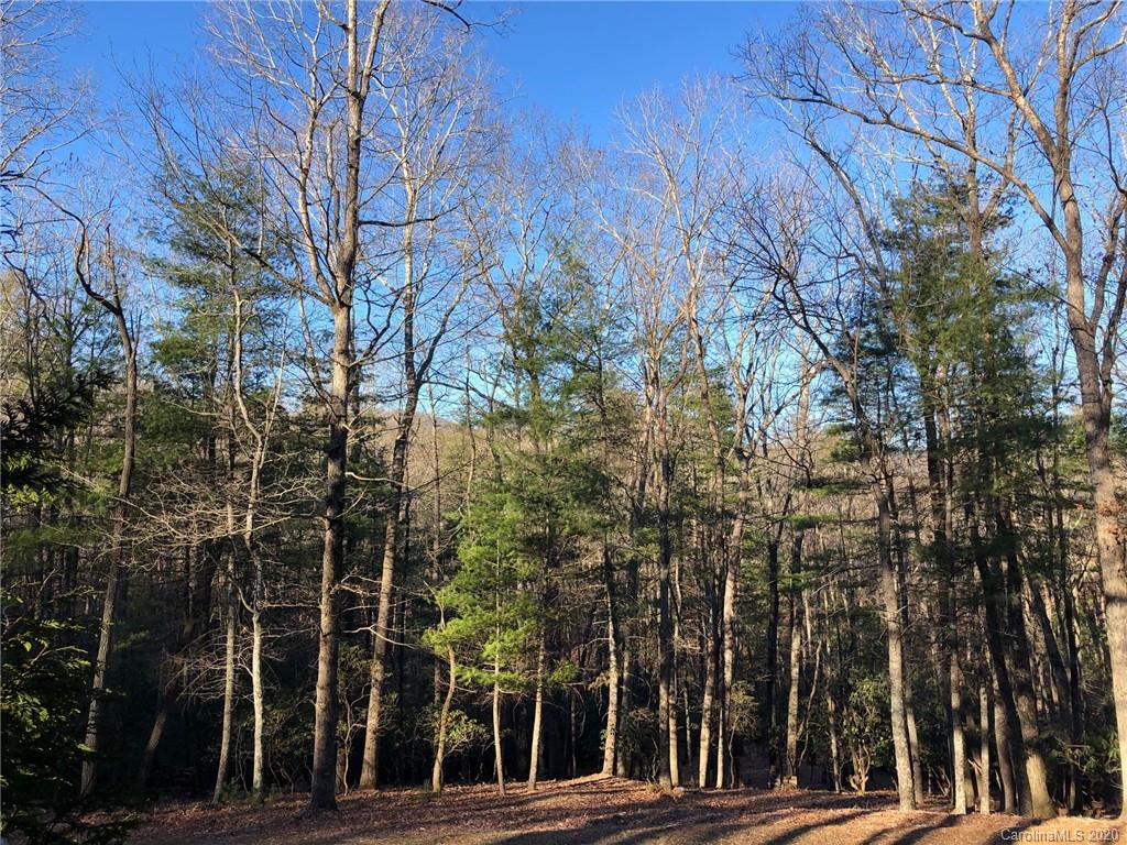 41 Dividing Ridge Trail, Unit 11 Arden, NC 28704 - Photo 2 of 14 Gallery Image 2