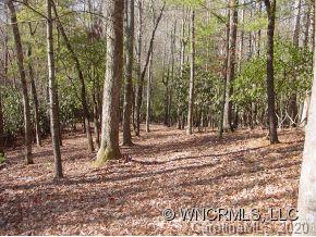 41 Dividing Ridge Trail, Unit 11 Arden, NC 28704 - Photo 11 of 14 Gallery Image 11