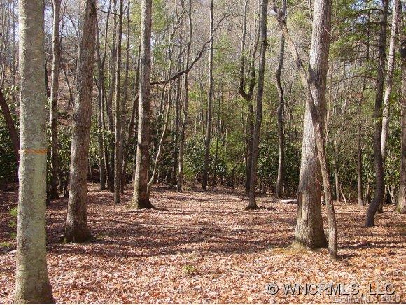 41 Dividing Ridge Trail, Unit 11 Arden, NC 28704 - Photo 7 of 14 Gallery Image 7