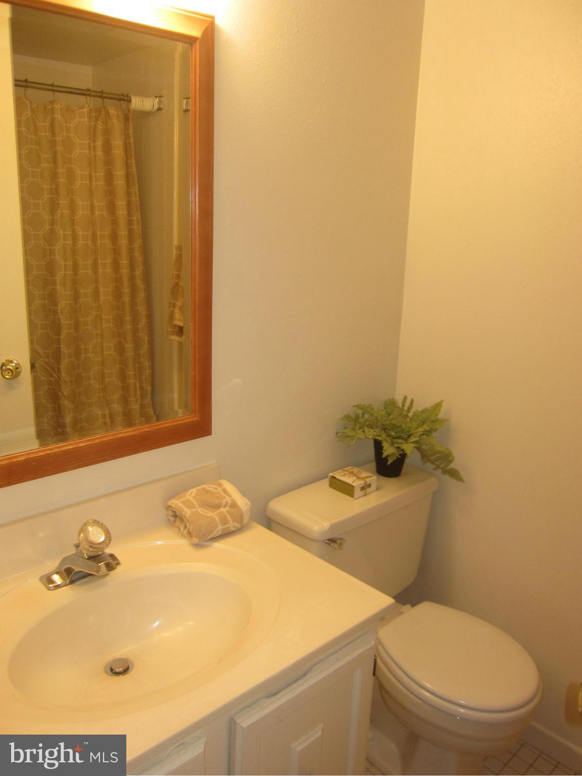15310 Beaverbrook Court, Unit 891B Silver Spring, MD 20906 - Photo 14 of 26 Spacious bath with tile