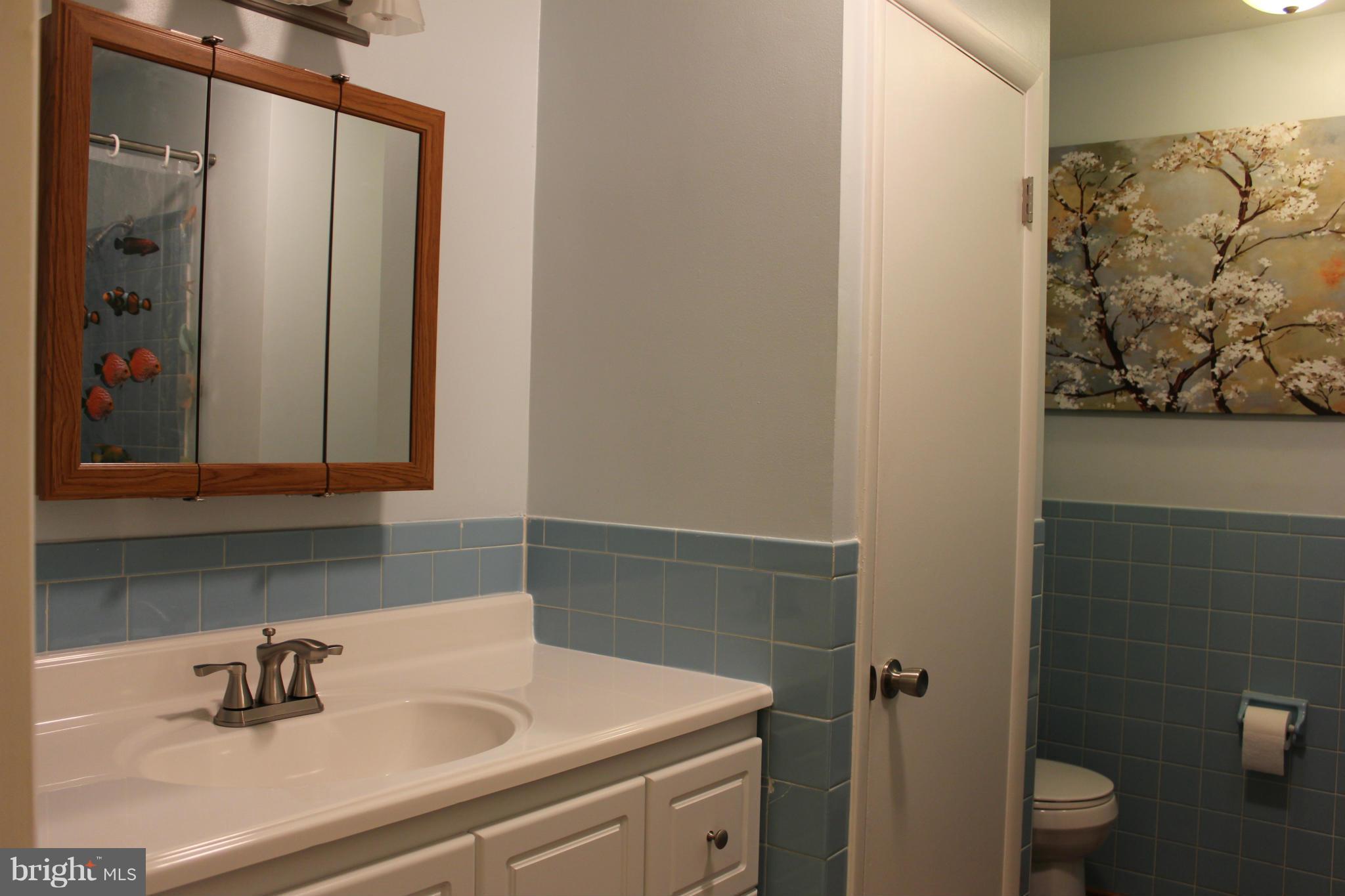 820 Nottingham Road Elkton, MD 21921 - Photo 15 of 22 Hall Bath