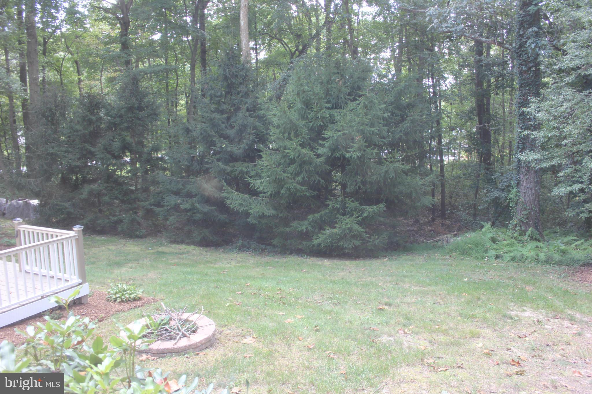820 Nottingham Road Elkton, MD 21921 - Photo 22 of 22 Backyard & Fire pit