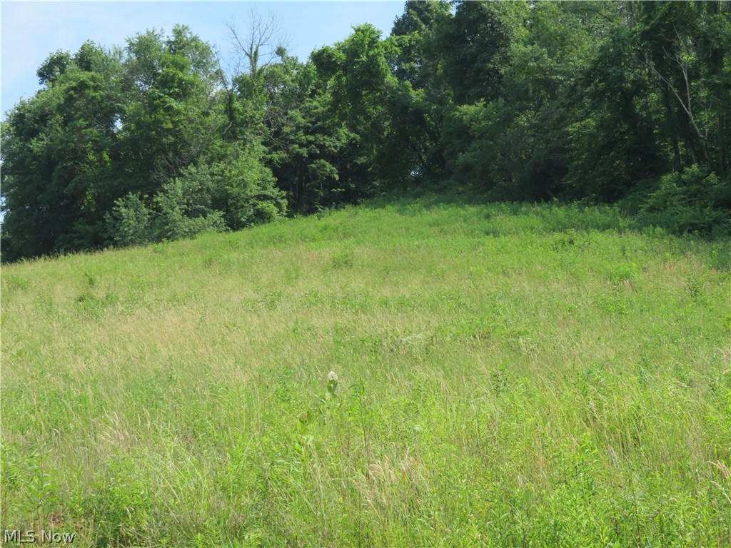 47409 John Lengacher Road Sardis, OH 43946 - Photo 17 of 17