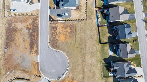 a view of a yard