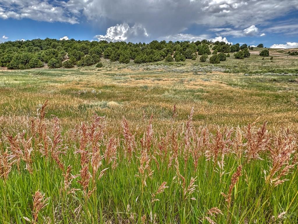 Tbd - Lot 21 Tbd - Road Westcliffe, CO 81252 - Photo 11 of 26
