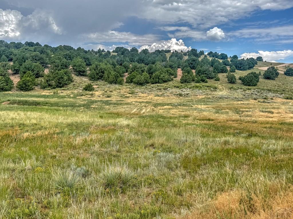 Tbd - Lot 21 Tbd - Road Westcliffe, CO 81252 - Photo 14 of 26