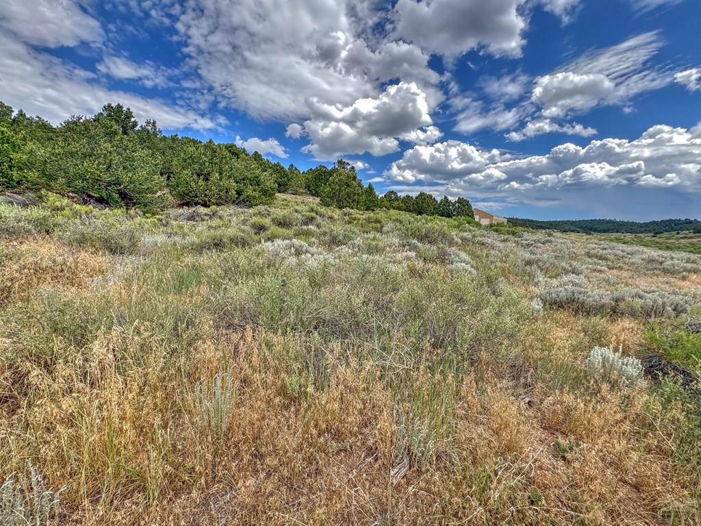 Tbd - Lot 21 Tbd - Road Westcliffe, CO 81252 - Photo 16 of 26
