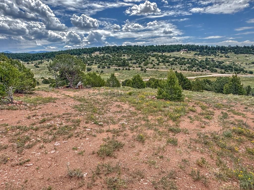 Tbd - Lot 21 Tbd - Road Westcliffe, CO 81252 - Photo 22 of 26
