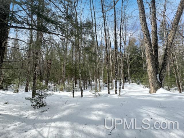 Lot 7 West Tamarack Lake Road Watersmeet, MI 49969 - Photo 4 of 11