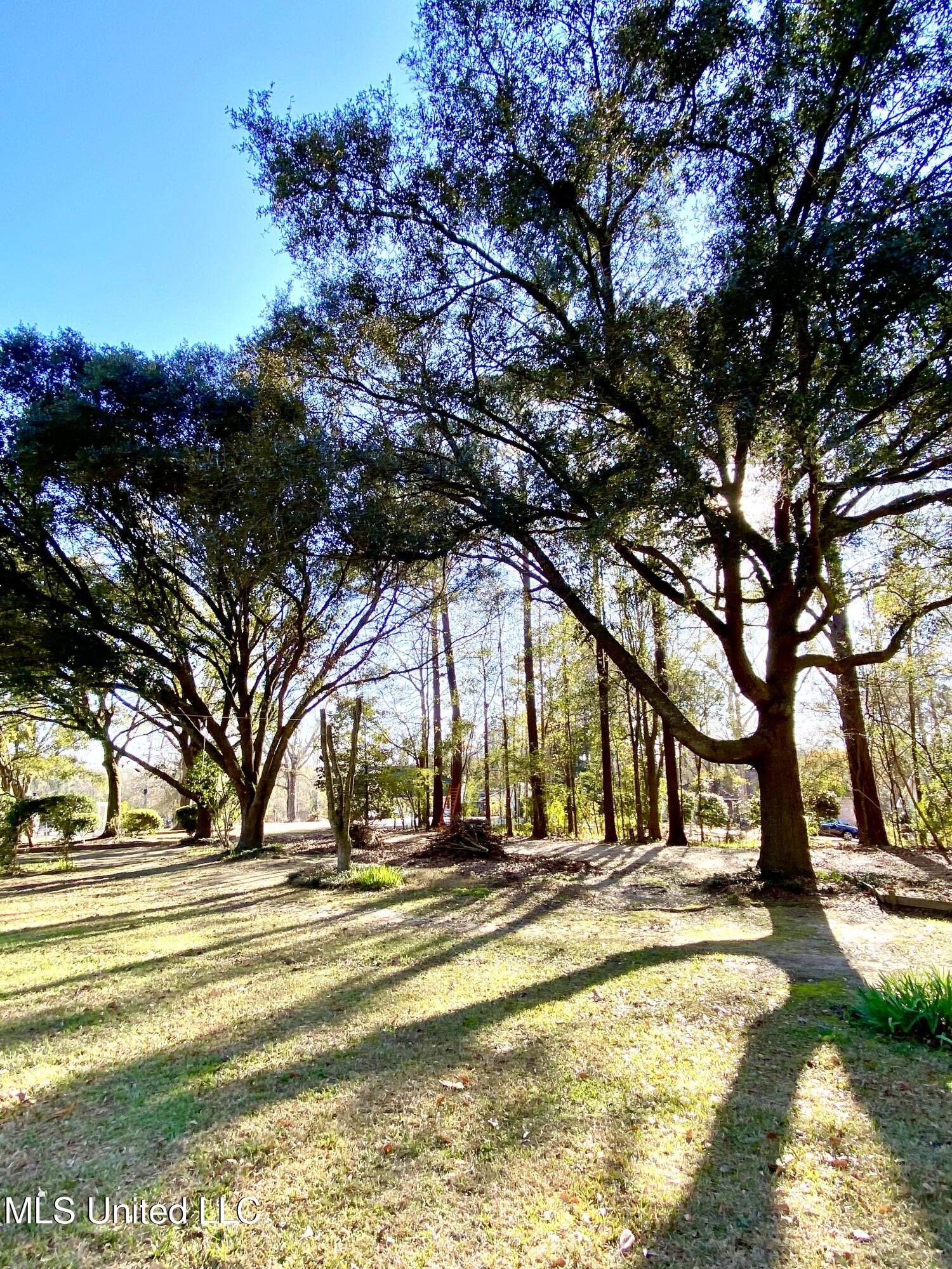 18 Point View Drive Carriere, MS 39426 - Photo 13 of 20 13, IMG_8273