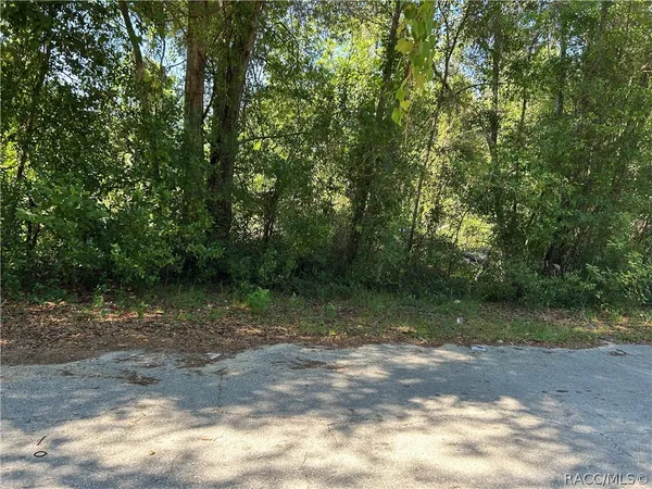 a view of a trees in a yard