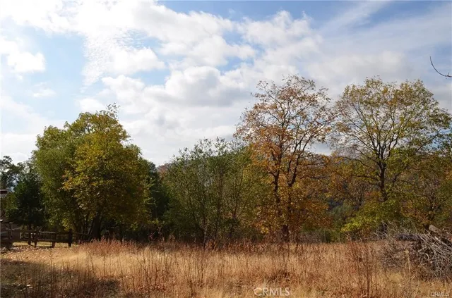 a view of a street with trees in the background