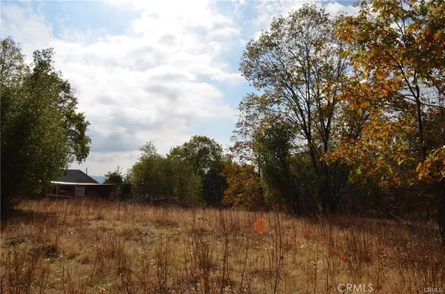 a view of outdoor space and yard