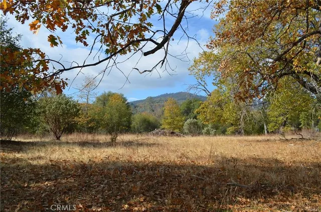 a view of a yard with a tree