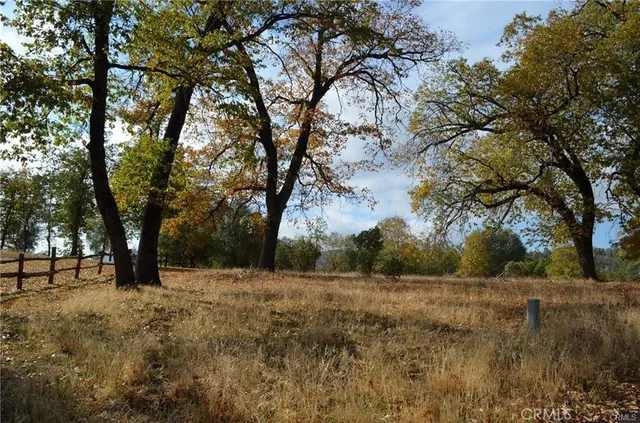 a view of a yard with a tree