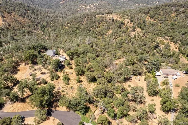a view of outdoor space and trees