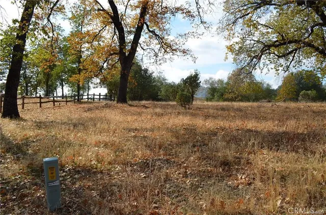 a view of dirt yard with trees