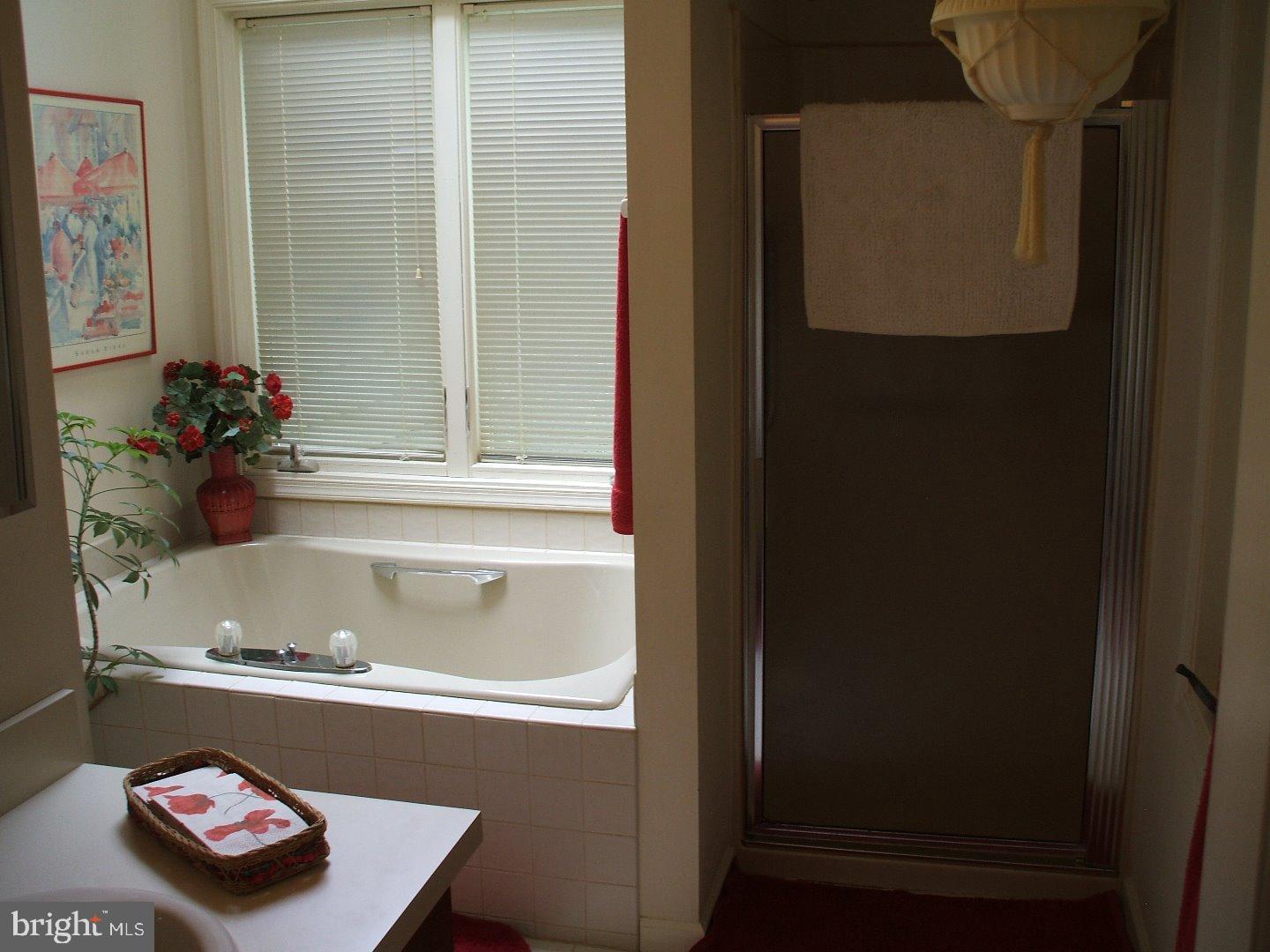 13 Harrison Road West West Chester, PA 19380 - Photo 13 of 22 Master Bathroom