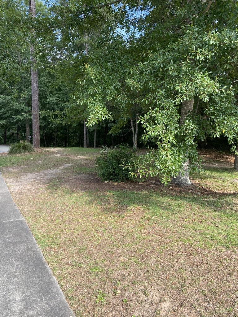 110 Riveredge Court Headland, AL 36345 - Photo 5 of 8