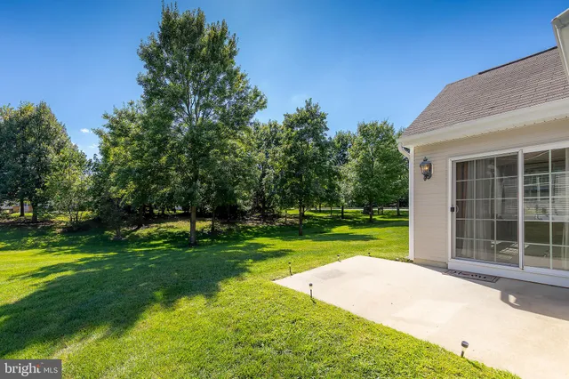 a view of a park with large trees