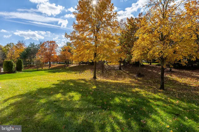 a view of yard with trees
