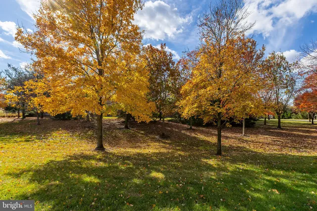 a view of a yard with swimming pool