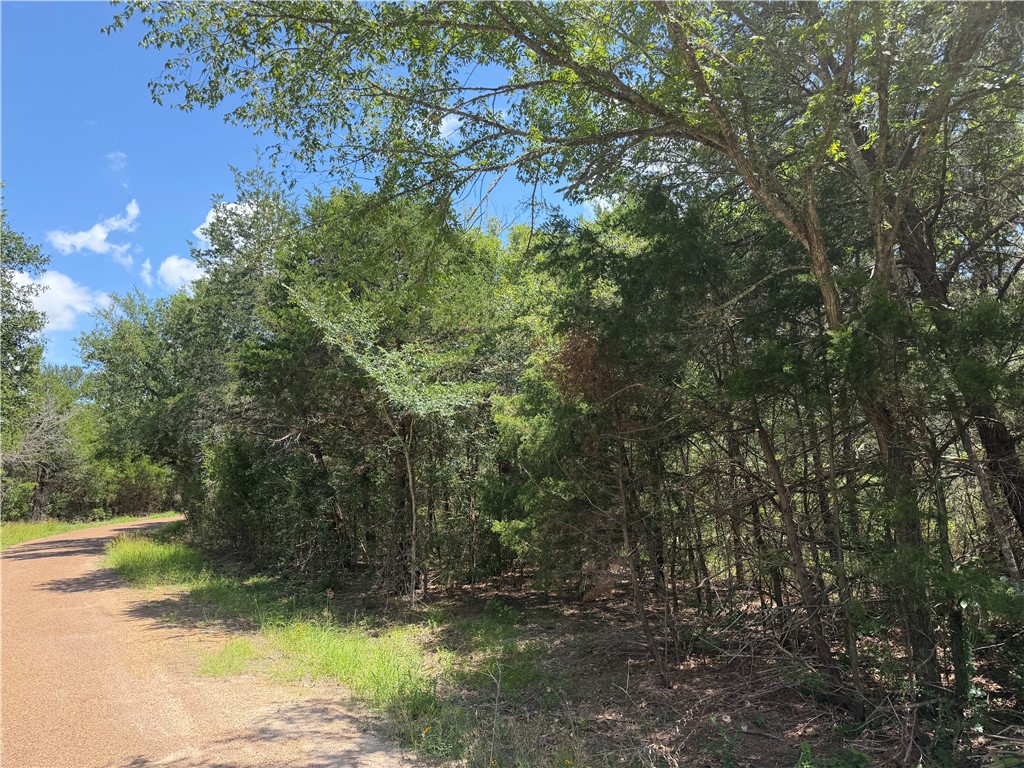 304 Overlook Loop Somerville, TX 77879 - Photo 7 of 17