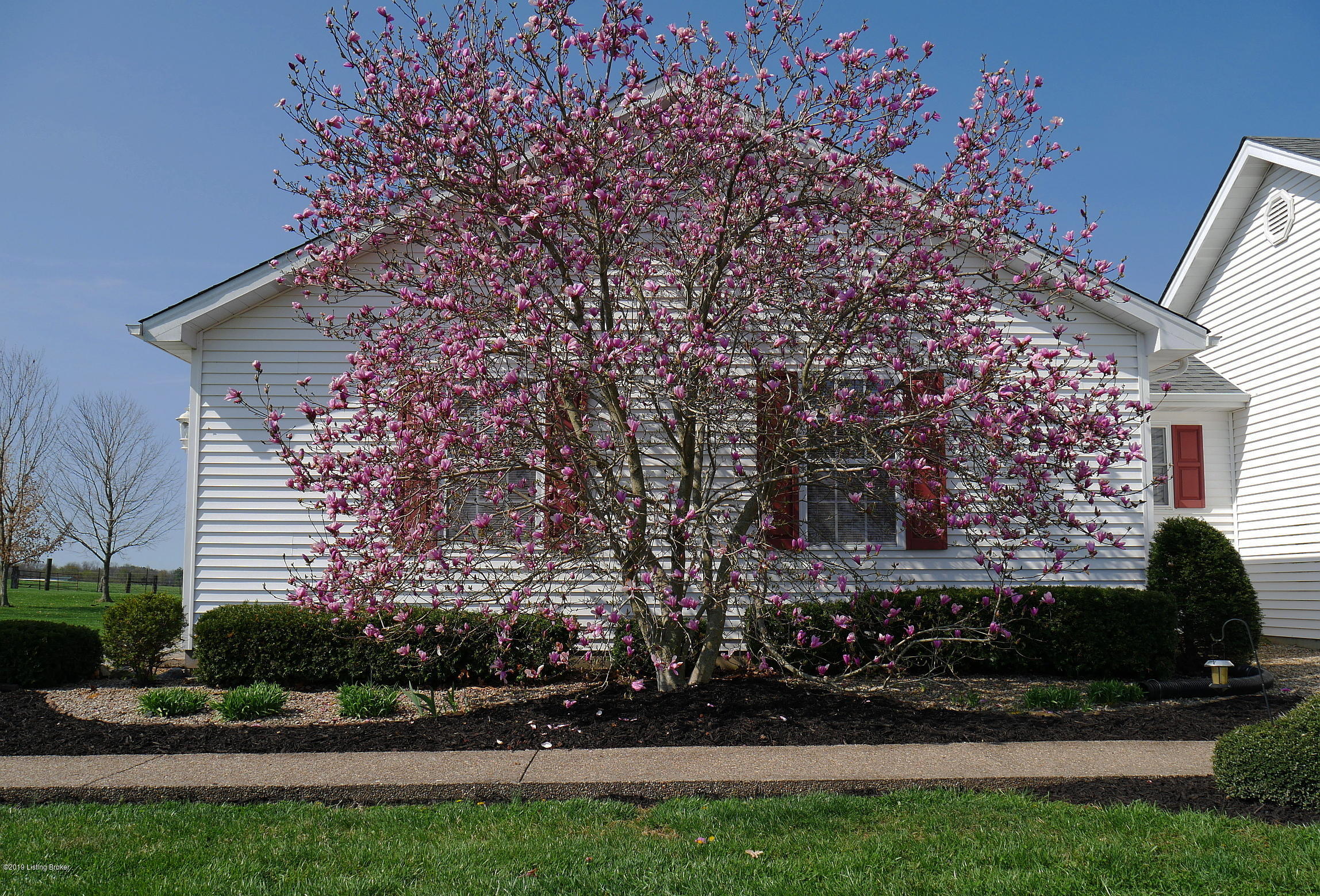 945 Fred Fackler Road Brandenburg, KY 40108 - Photo 68 of 103 945 Fred Fackler Resize (34)