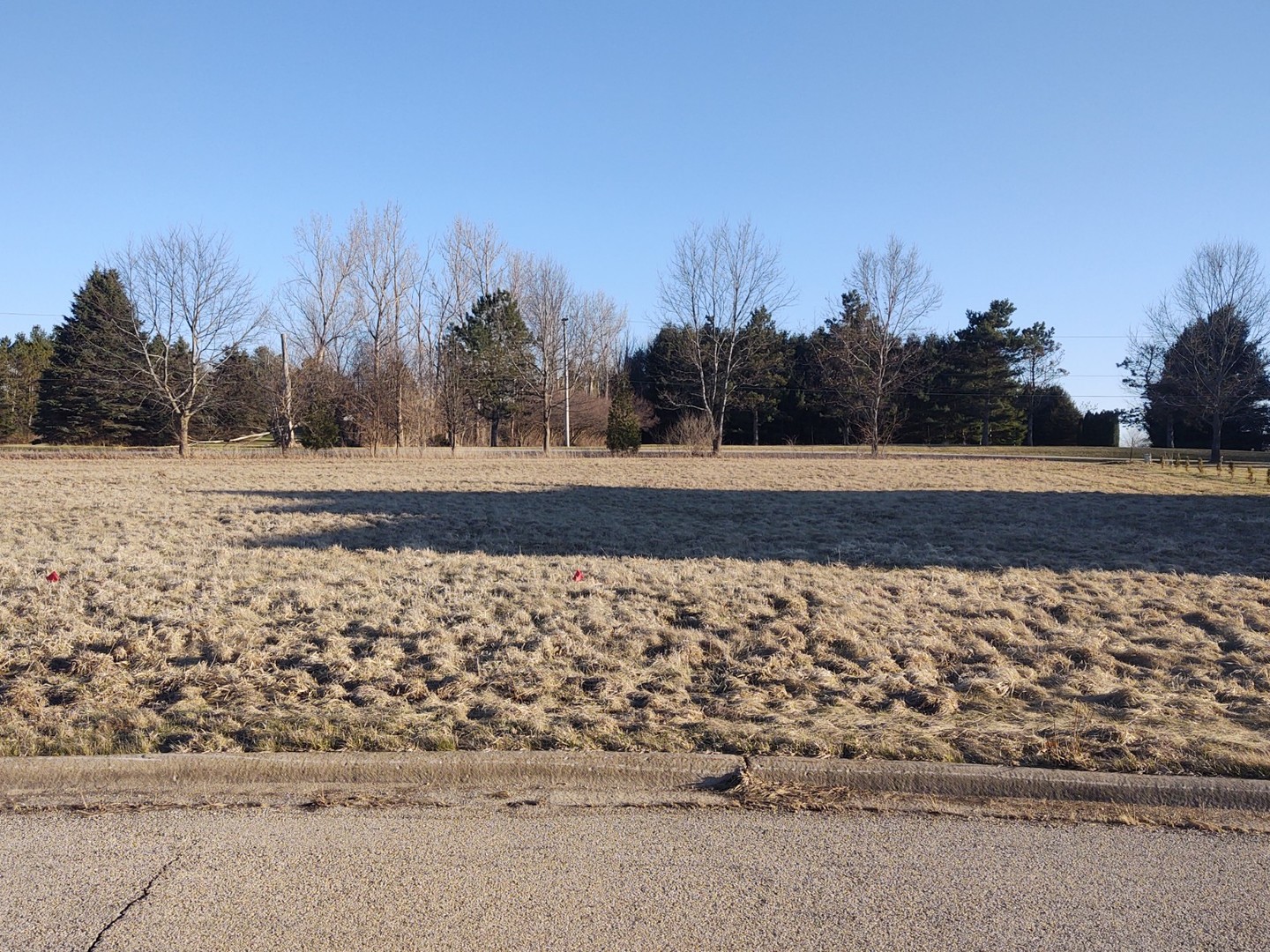 a view of a yard