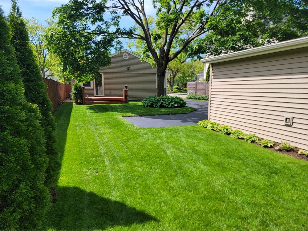 229 Fuller Road Hinsdale, IL 60521 - Photo 6 of 20