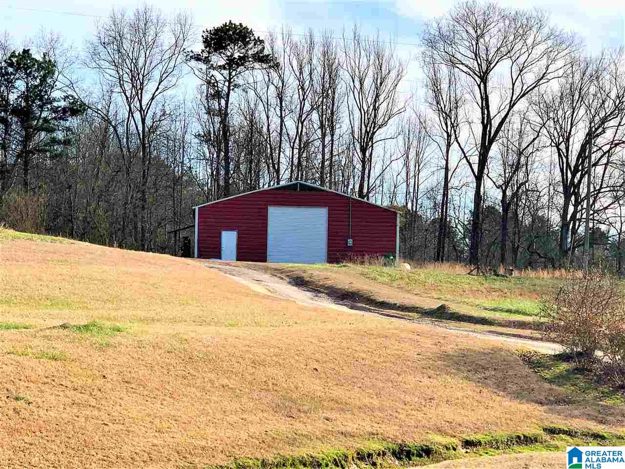 1141 County Road 482 Heflin, AL 36264 - Photo 14 of 44