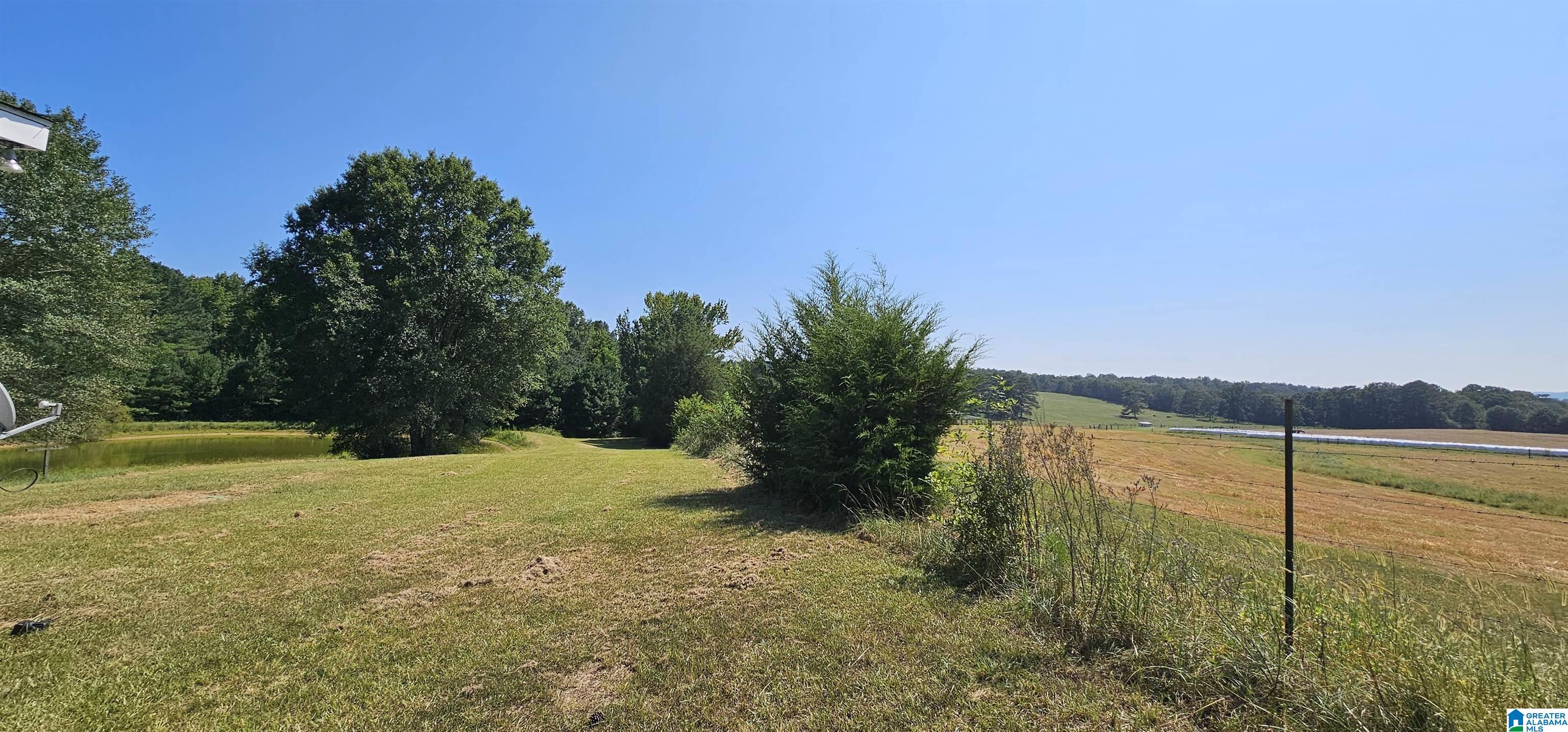 1218 Beason Cove Road Steele, AL 35987 - Photo 19 of 20