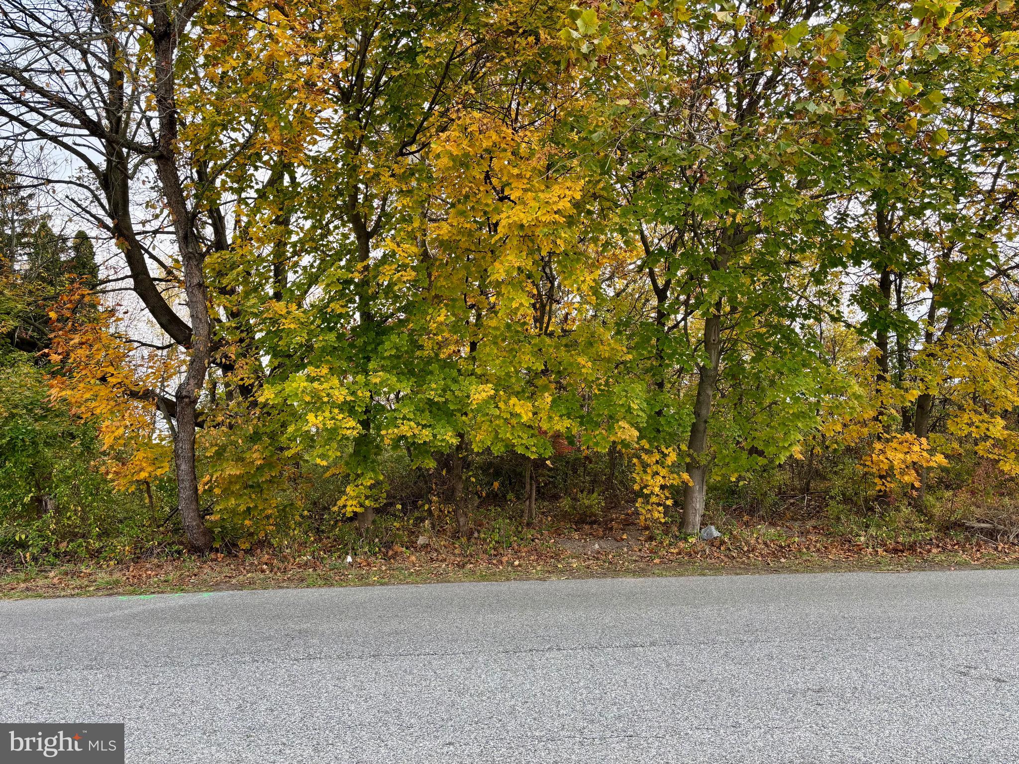 865 Cypress Ave Spring Spring City, PA 19475 - Photo 33 of 33 a backyard of a house