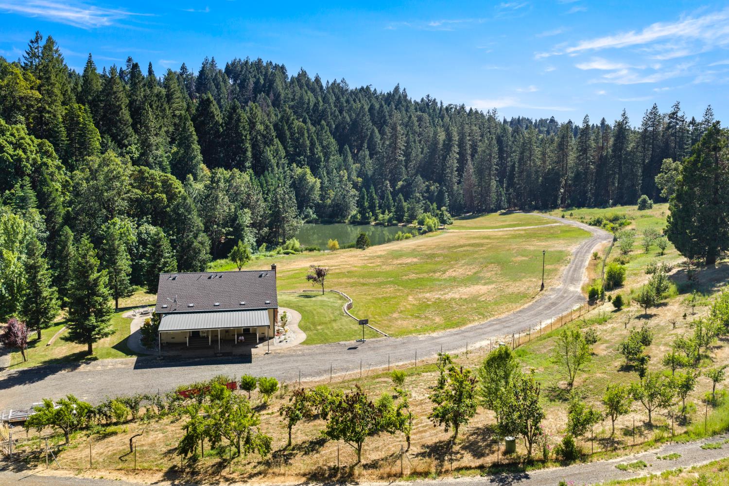 1237 Cable Road Camino, CA 95709 - Photo 72 of 87