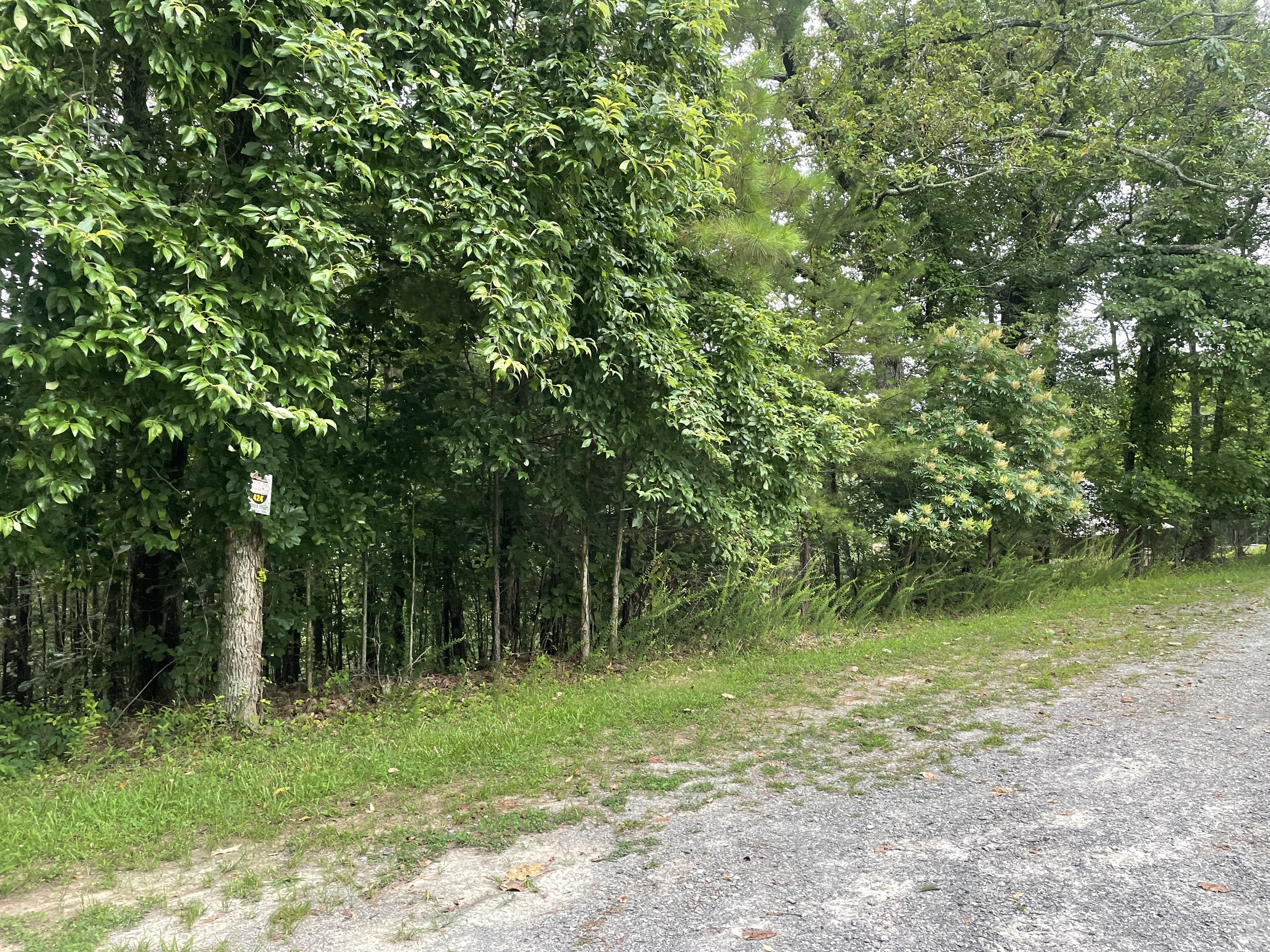 425 Marble Court Ranger, GA 30734 - Photo 4 of 12 a backyard of a house with lots of green space