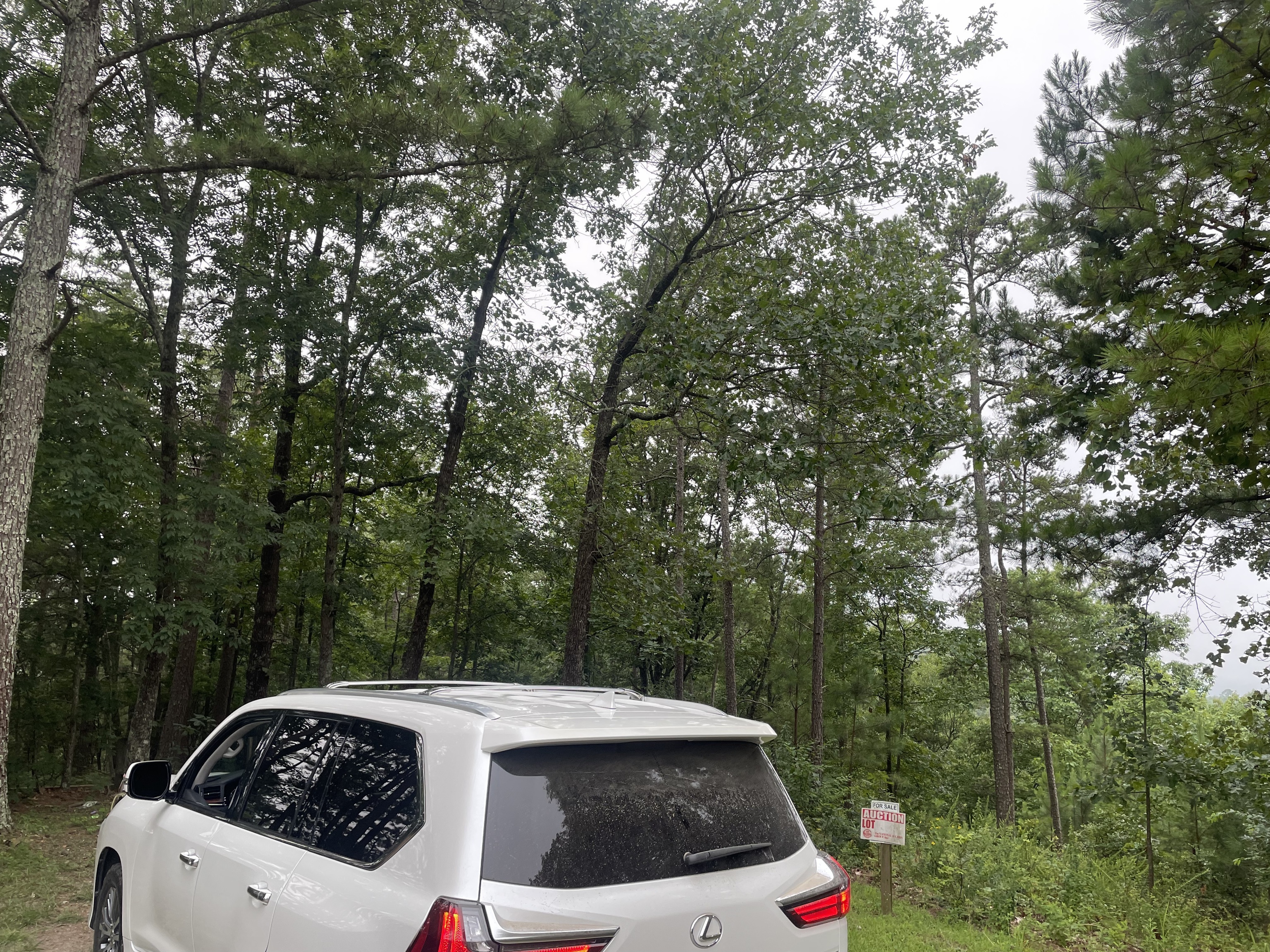 425 Marble Court Ranger, GA 30734 - Photo 5 of 12 a view of backyard with sitting space