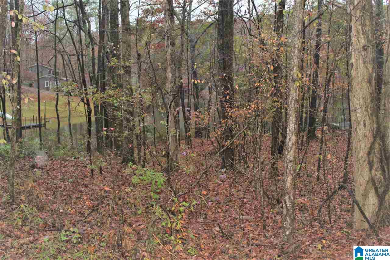 0 County Road 921, Unit 2 Delta, AL 36258 - Photo 11 of 17