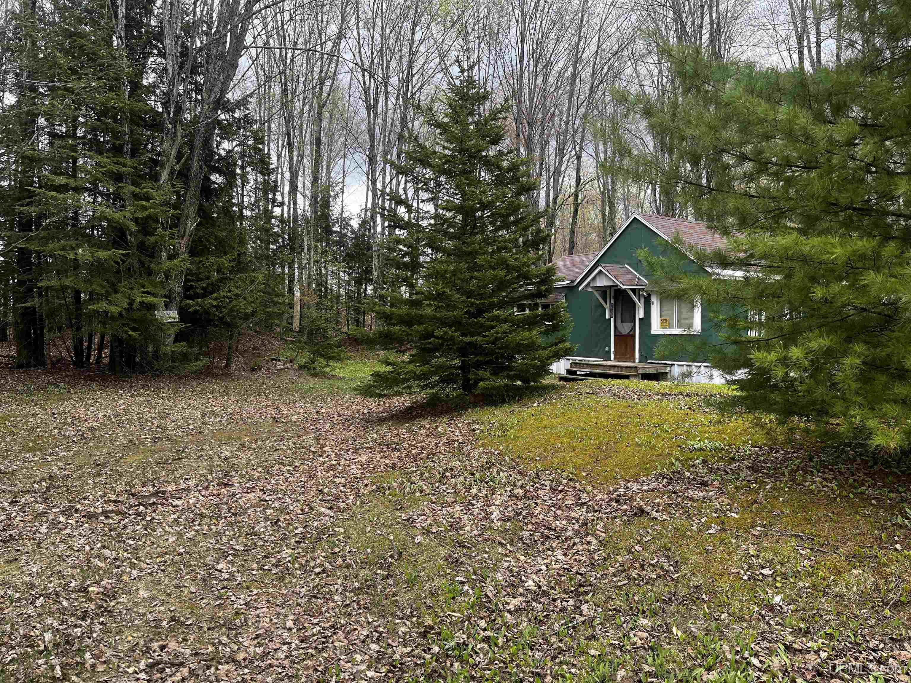 3946 East Storm Road Chatham, MI 49816 - Photo 4 of 37