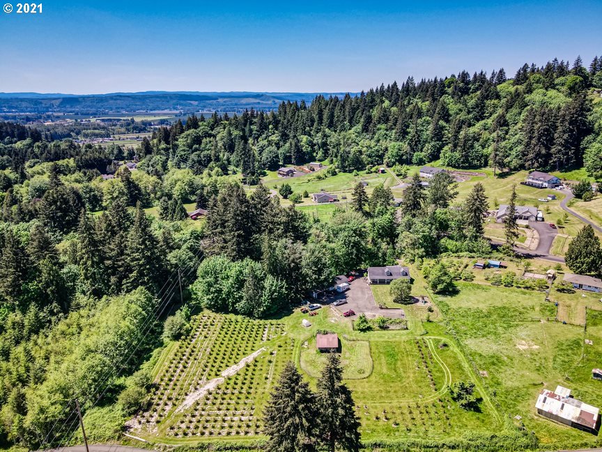 790 Insel Road Woodland, WA 98674 - Photo 30 of 32 Gallery Image 30
