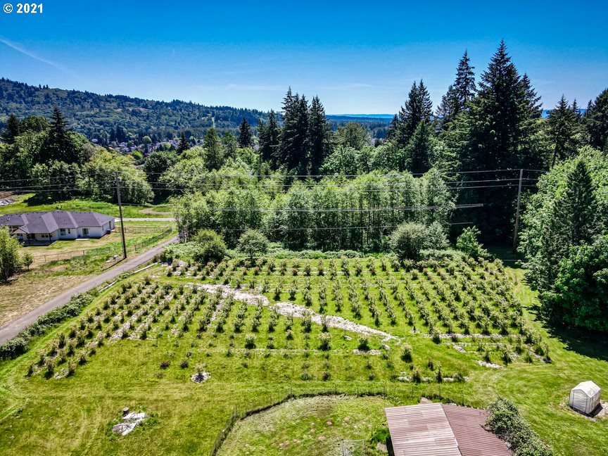 790 Insel Road Woodland, WA 98674 - Photo 32 of 32 Gallery Image 32