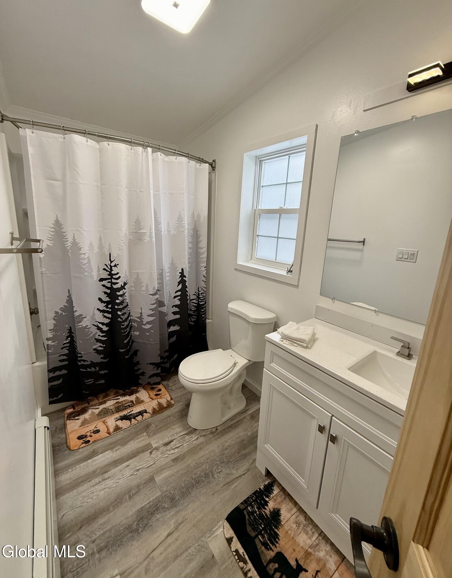 123 Forest Lake Road Warrensburg, NY 12817 - Photo 23 of 54 IMG_7783