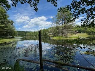 123 Forest Lake Road Warrensburg, NY 12817 - Photo 54 of 54 pond
