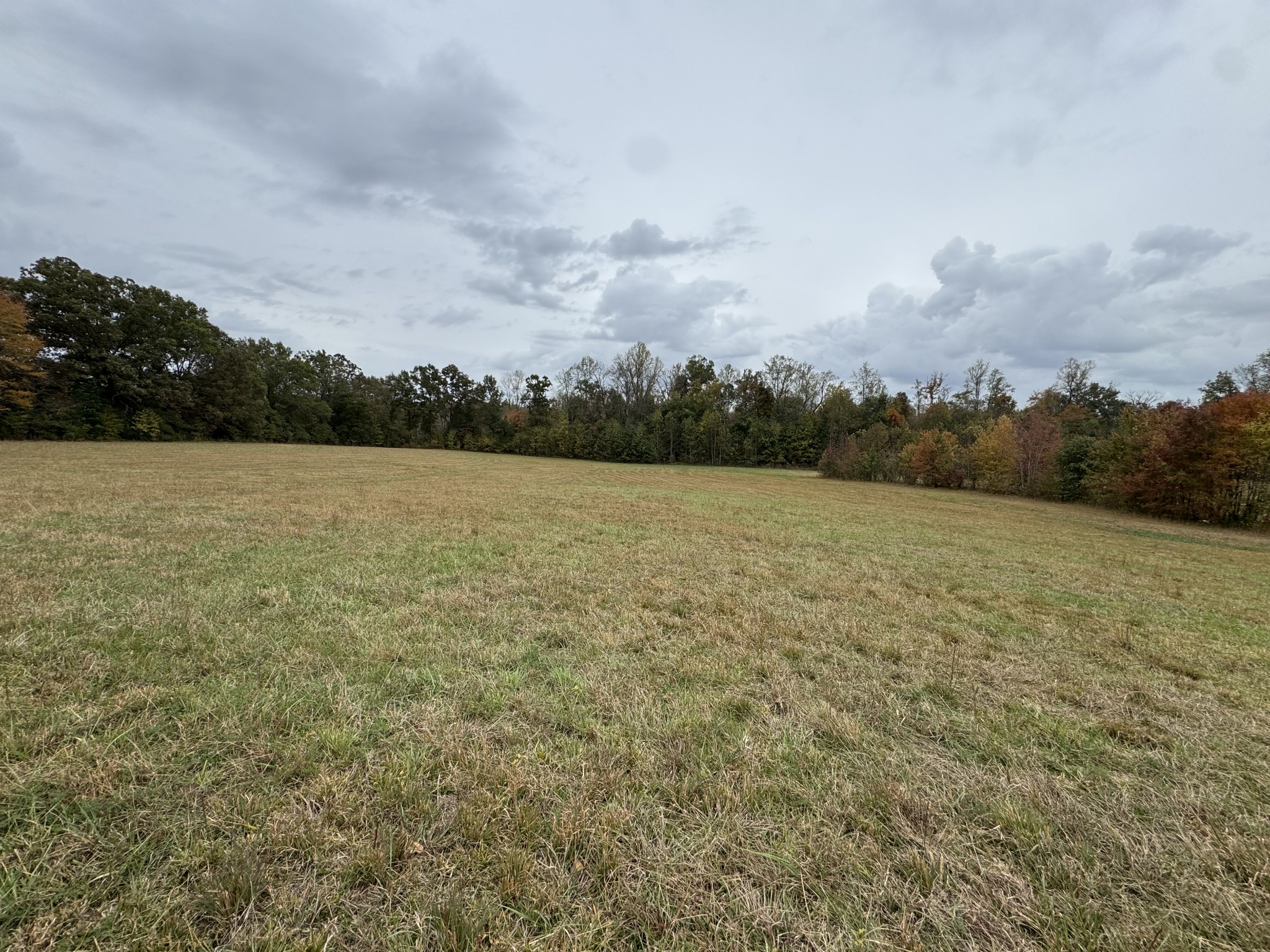 1347 Bertha Owen Road Morrison, TN 37357 - Photo 21 of 23 a view of an outdoor space and a yard