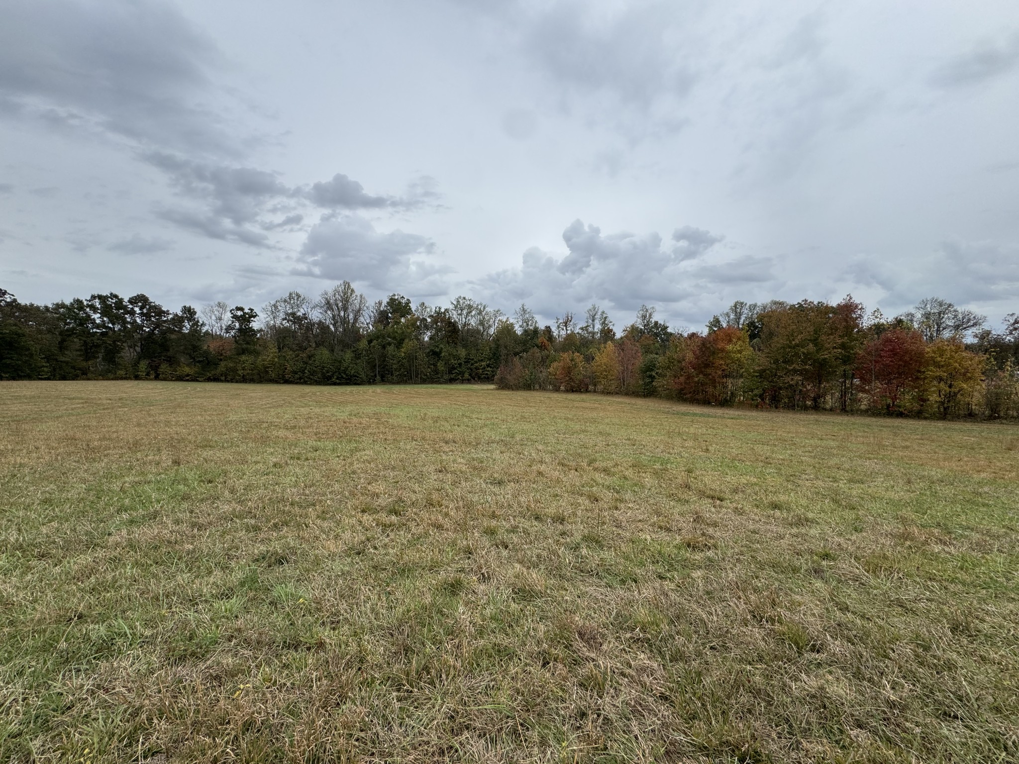 1347 Bertha Owen Road Morrison, TN 37357 - Photo 22 of 23 a view of a field with trees in the background