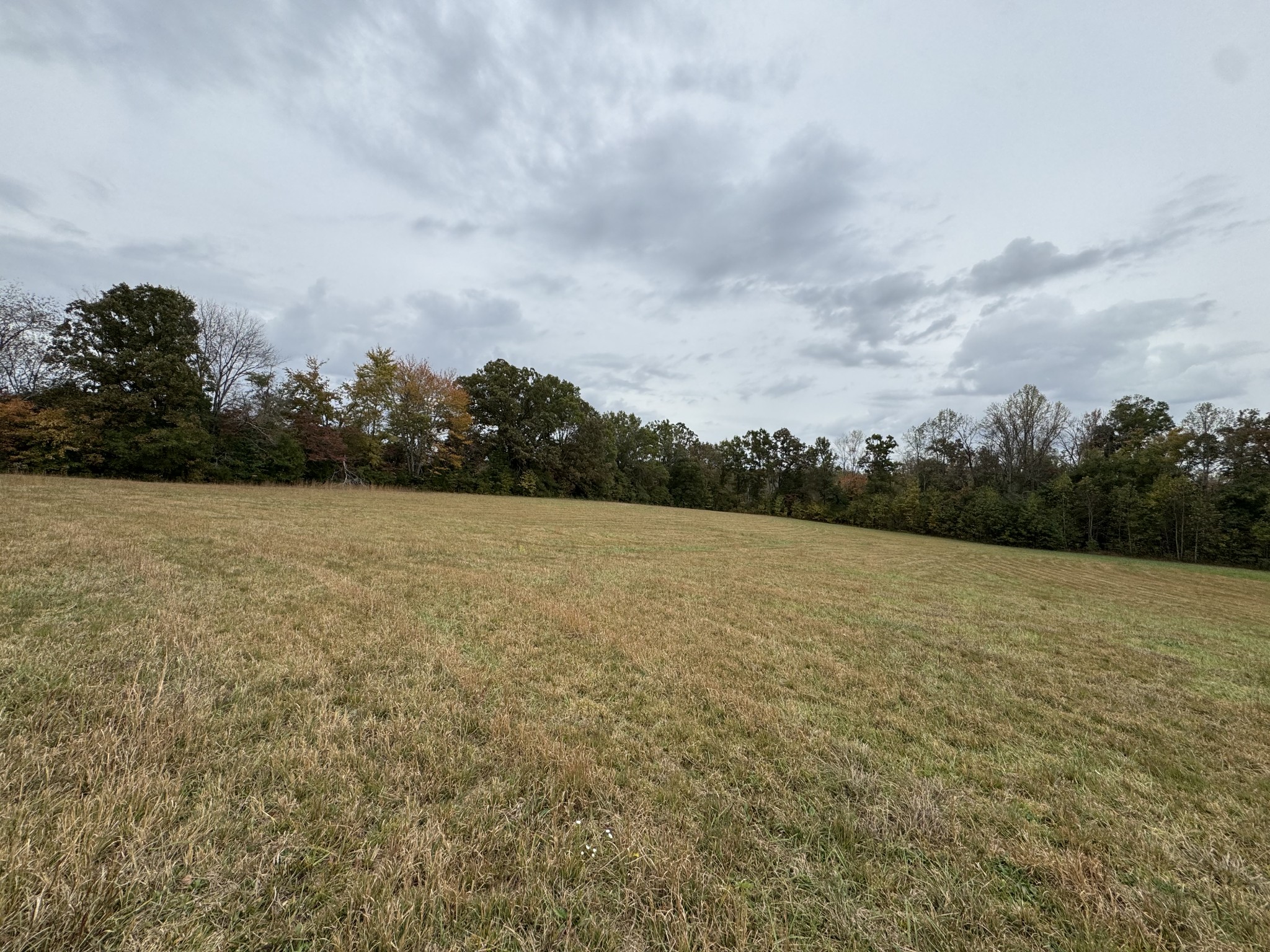 1347 Bertha Owen Road Morrison, TN 37357 - Photo 23 of 23 a view of a lake view