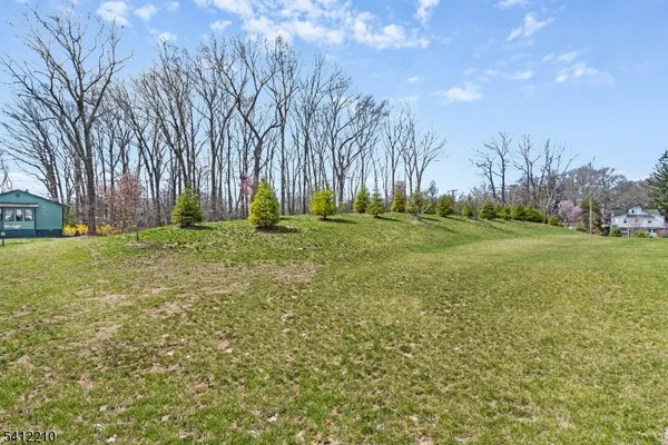 a big yard with lots of green space and trees
