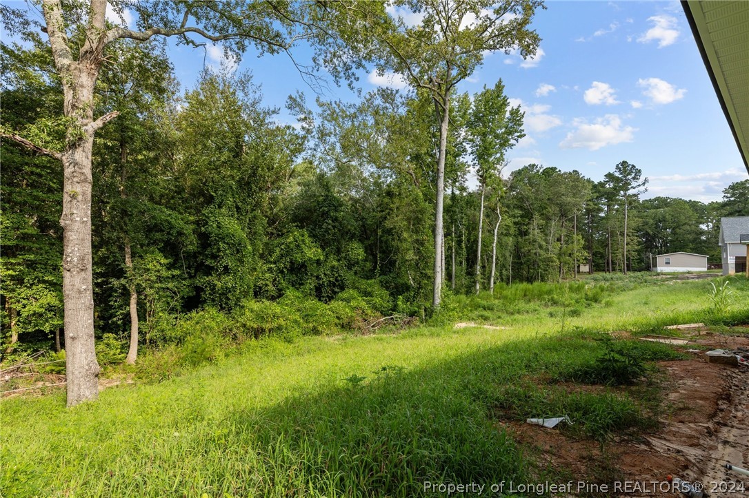4468 Pittman Grove Church Road Raeford, NC 28376 - Photo 6 of 13 Gallery Image 6