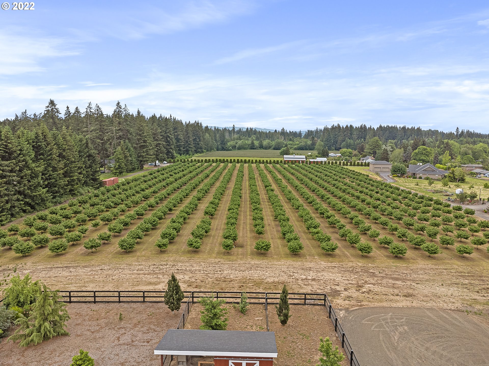 31549 Southwest Firdale Road Cornelius, OR 97113 - Photo 5 of 32 a view of a yard
