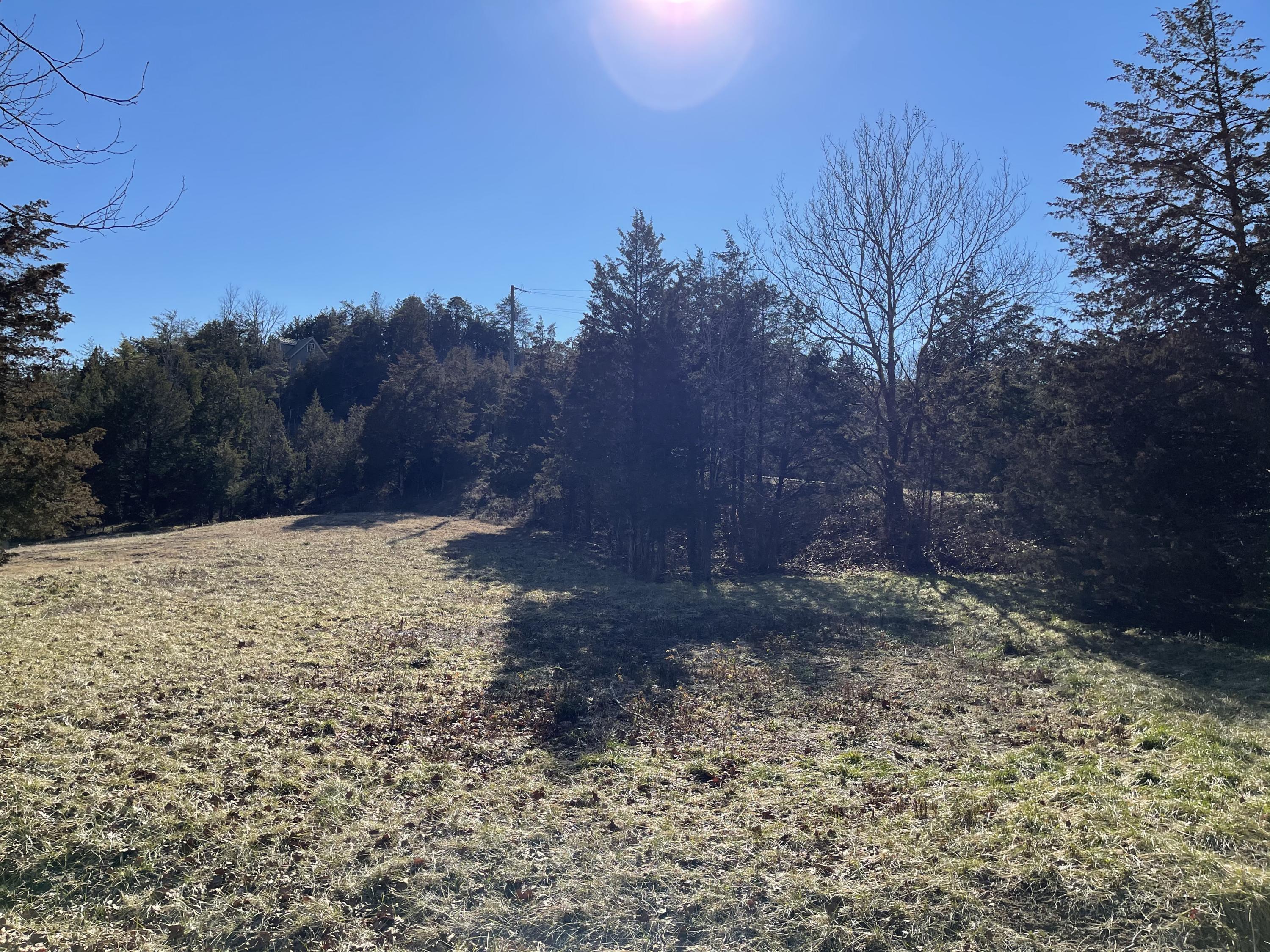 Holbert Cem Road Sevierville, TN 37876 - Photo 8 of 11 0FF711ED-16F8-4C3D-82E8-DFBF69DDFC12