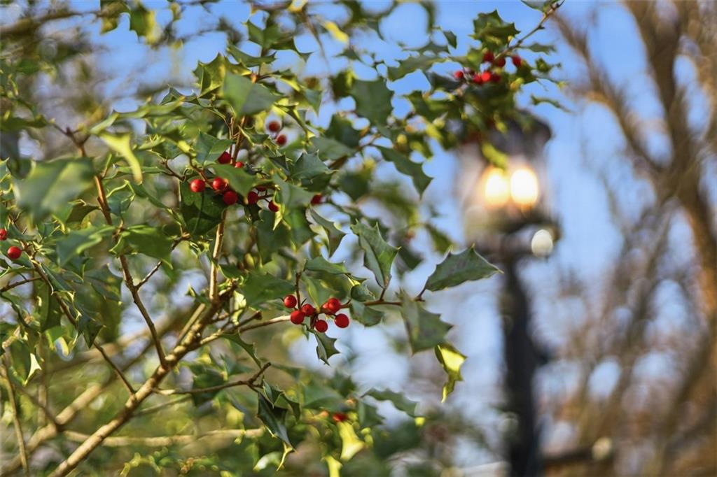 509 11th Street Oakmont, PA 15139 - Photo 42 of 48